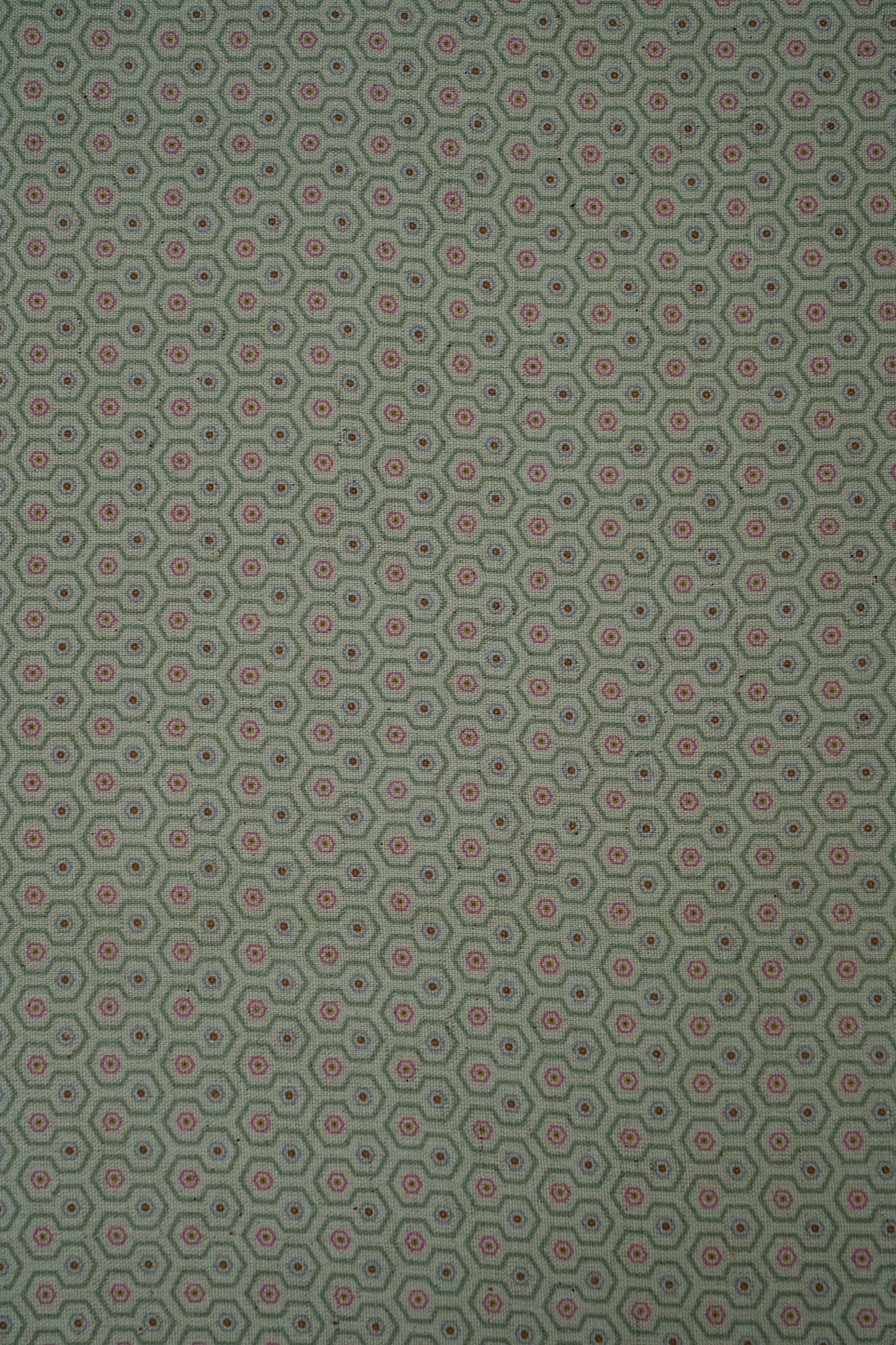 Handloom Cotton Printed Fabric