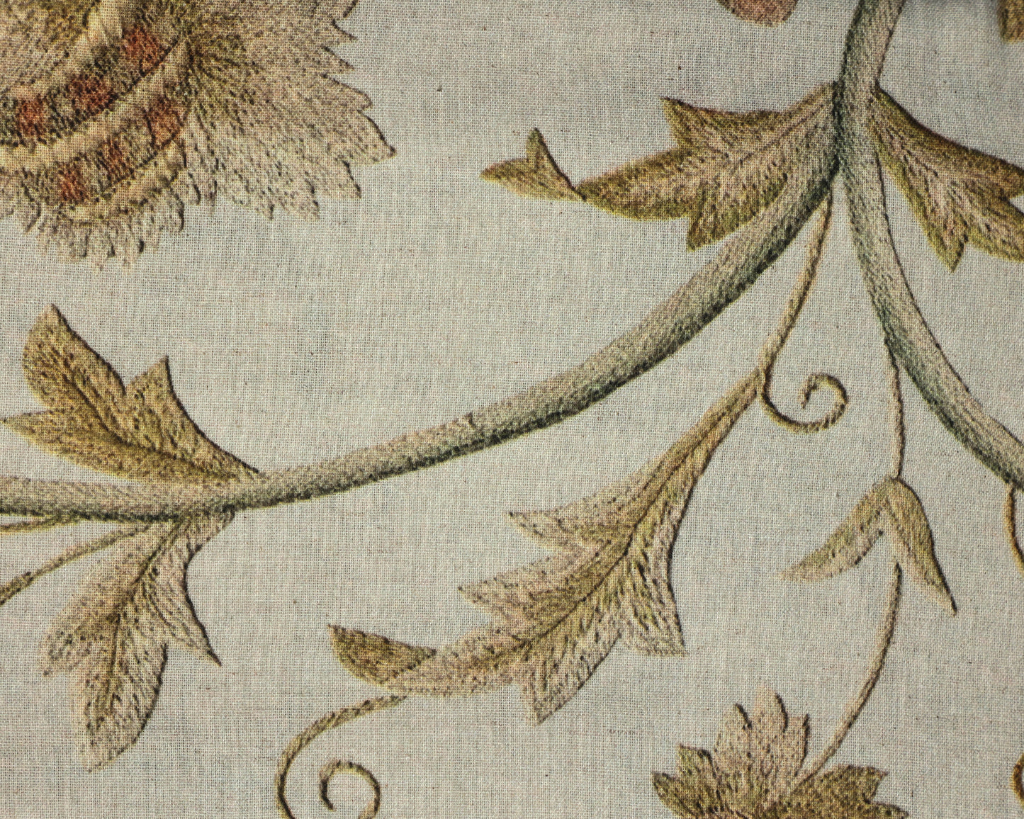 Pure Handloom Cotton Digital Printed Fabric